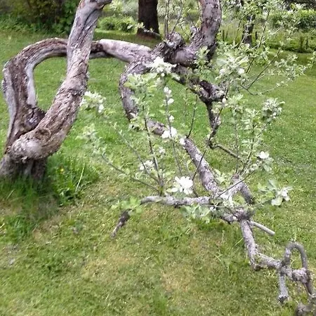 Solbacka Iittala Maison d'hôtes Hämeenlinna