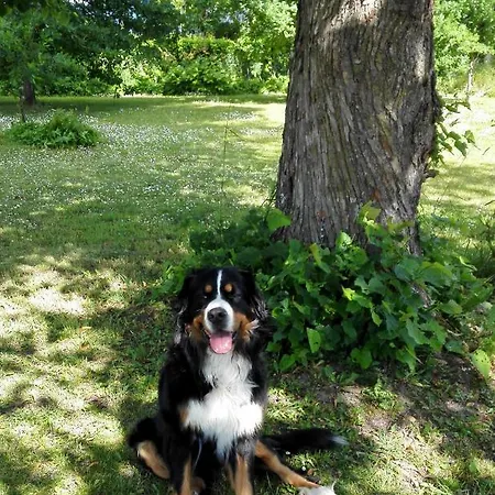 Maison d'hôtes Solbacka Iittala